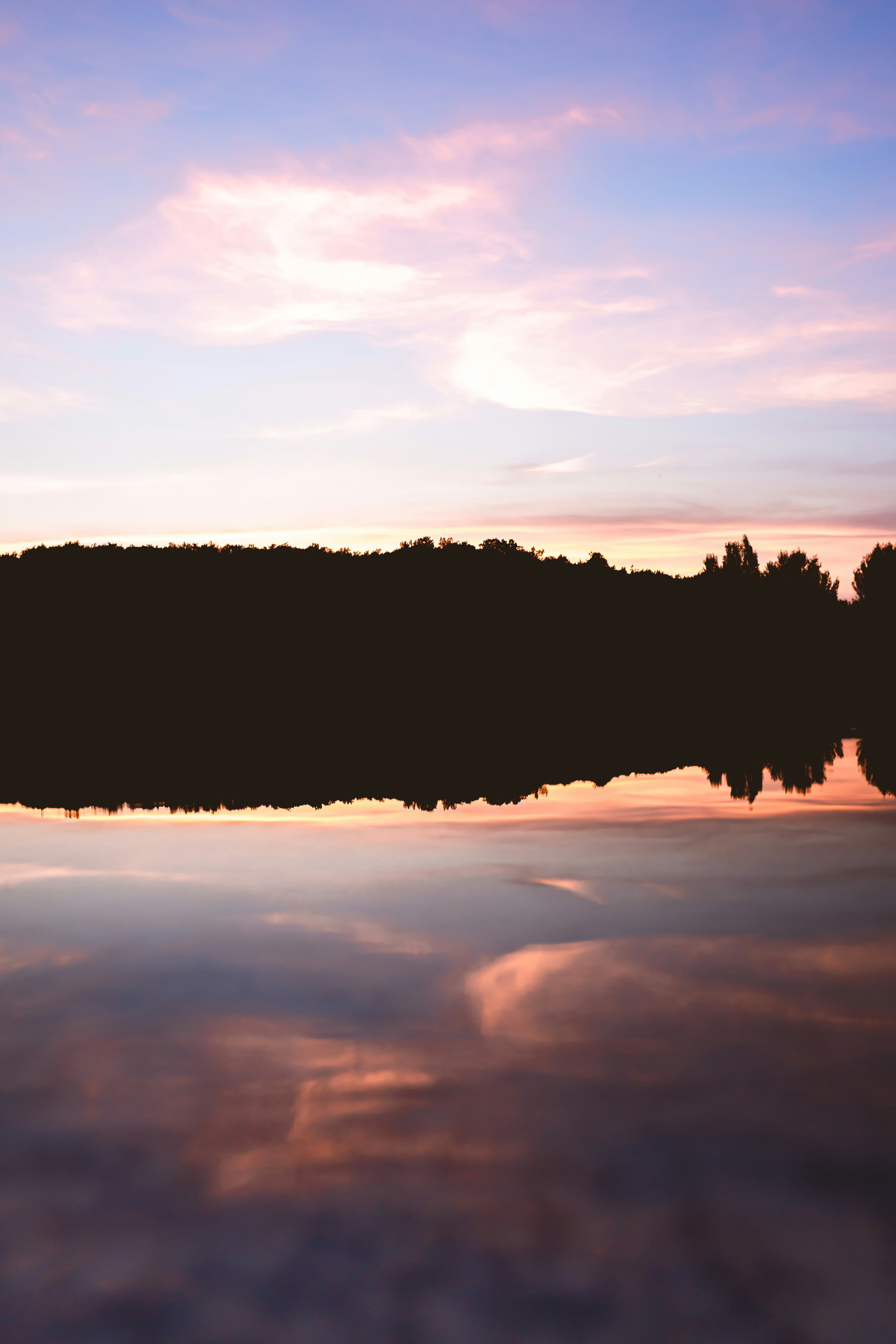 silhouette of trees during sunset